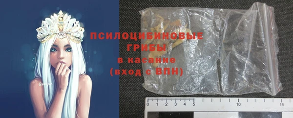 прущие грибы Алексеевка