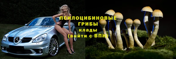 прущие грибы Алексеевка